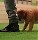 Filename=000016.jpg
Filesize=653KiB
Dimensions=1920x1080
Date added=Apr 22, 2025 000016.jpg