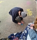 Filename=028.jpeg
Filesize=240KiB
Dimensions=1080x1350
Date added=Feb 21, 2025 028.jpeg