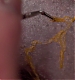 Filename=000040.jpg
Filesize=1896KiB
Dimensions=3840x2160
Date added=Dec 16, 2024 000040.jpg