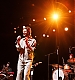 Filename=025.jpg
Filesize=916KiB
Dimensions=1500x1000
Date added=Jan 13, 2025 025.jpg