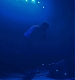 Filename=146.jpeg
Filesize=27KiB
Dimensions=1080x1350
Date added=Feb 08, 2025 146.jpeg