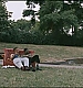 Filename=btb742.jpg
Filesize=58KiB
Dimensions=888x504
Date added=Jun 17, 2008 btb742.jpg