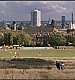 btb914.jpg