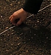 Filename=Ben_Barnes_445.jpg
Filesize=27KiB
Dimensions=640x272
Date added=Jan 12, 2008 Ben_Barnes_445.jpg