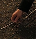 Filename=Ben_Barnes_446.jpg
Filesize=24KiB
Dimensions=640x272
Date added=Jan 12, 2008 Ben_Barnes_446.jpg