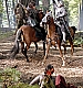 Filename=Ben_Barnes_031.jpg
Filesize=2288KiB
Dimensions=1365x2048
Date added=May 30, 2008 Ben_Barnes_031.jpg