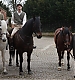 Filename=still-ev-50.jpg
Filesize=519KiB
Dimensions=1600x1067
Date added=Jun 05, 2012 still-ev-50.jpg