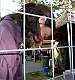Filename=035.jpg
Filesize=67KiB
Dimensions=604x453
Date added=May 25, 2012 035.jpg