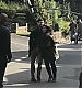 Filename=001.jpg
Filesize=126KiB
Dimensions=800x1067
Date added=Sep 24, 2018 001.jpg