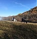 Filename=010.jpg
Filesize=131KiB
Dimensions=1024x1024
Date added=Apr 24, 2021 010.jpg