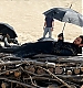 Filename=071.jpg
Filesize=214KiB
Dimensions=1440x1085
Date added=Mar 31, 2023 071.jpg