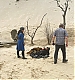 Filename=072.jpg
Filesize=255KiB
Dimensions=1440x1085
Date added=Mar 31, 2023 072.jpg