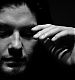 FanPhoto001.jpg