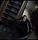 Filename=0204.jpg
Filesize=326KiB
Dimensions=1024x576
Date added=Jan 23, 2010 0204.jpg