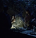 cap0799.jpg