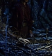 cap0800.jpg