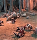 Filename=000070.jpg
Filesize=667KiB
Dimensions=1280x720
Date added=May 28, 2015 000070.jpg