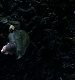 Filename=000031.jpg
Filesize=751KiB
Dimensions=1920x1080
Date added=Feb 06, 2019 000031.jpg