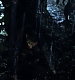 Filename=000048.jpg
Filesize=724KiB
Dimensions=1920x1080
Date added=Feb 06, 2019 000048.jpg