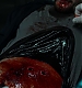 Filename=000086.jpg
Filesize=830KiB
Dimensions=1920x1080
Date added=Feb 06, 2019 000086.jpg