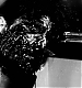 Filename=000006.jpg
Filesize=690KiB
Dimensions=1920x1080
Date added=Feb 06, 2019 000006.jpg