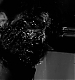 Filename=000007.jpg
Filesize=488KiB
Dimensions=1920x1080
Date added=Feb 06, 2019 000007.jpg