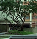 Filename=000114.jpg
Filesize=1419KiB
Dimensions=1920x1080
Date added=Feb 06, 2019 000114.jpg
