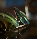 Filename=000099.jpg
Filesize=665KiB
Dimensions=1920x1080
Date added=Feb 06, 2019 000099.jpg