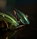 Filename=000103.jpg
Filesize=588KiB
Dimensions=1920x1080
Date added=Feb 06, 2019 000103.jpg