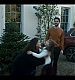 Filename=000213.jpg
Filesize=892KiB
Dimensions=1920x1080
Date added=Dec 04, 2019 000213.jpg