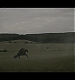 Filename=000125.jpg
Filesize=516KiB
Dimensions=1920x1080
Date added=May 04, 2021 000125.jpg