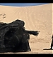 Filename=000133.jpg
Filesize=935KiB
Dimensions=1920x1080
Date added=May 18, 2023 000133.jpg
