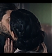 Filename=000178.jpg
Filesize=793KiB
Dimensions=1920x1080
Date added=May 18, 2023 000178.jpg