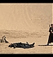Filename=000223.jpg
Filesize=1075KiB
Dimensions=1920x1080
Date added=May 18, 2023 000223.jpg