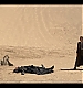 Filename=000224.jpg
Filesize=1060KiB
Dimensions=1920x1080
Date added=May 18, 2023 000224.jpg
