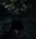 Filename=000047.jpg
Filesize=560KiB
Dimensions=1920x960
Date added=Sep 02, 2025 000047.jpg