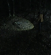 Filename=000071.jpg
Filesize=964KiB
Dimensions=1920x960
Date added=Sep 02, 2025 000071.jpg