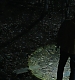 Filename=000090.jpg
Filesize=920KiB
Dimensions=1920x960
Date added=Sep 02, 2025 000090.jpg