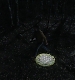 Filename=000142.jpg
Filesize=971KiB
Dimensions=1920x960
Date added=Sep 02, 2025 000142.jpg