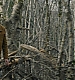 Filename=000147.jpg
Filesize=1019KiB
Dimensions=1920x960
Date added=Sep 02, 2025 000147.jpg