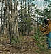 Filename=000220.jpg
Filesize=1798KiB
Dimensions=1920x960
Date added=Sep 02, 2025 000220.jpg