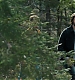 Filename=000248.jpg
Filesize=1019KiB
Dimensions=1920x960
Date added=Sep 02, 2025 000248.jpg