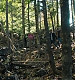 Filename=000383.jpg
Filesize=1546KiB
Dimensions=1920x960
Date added=Sep 02, 2025 000383.jpg
