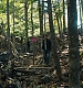 Filename=000384.jpg
Filesize=1585KiB
Dimensions=1920x960
Date added=Sep 02, 2025 000384.jpg