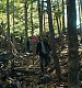 Filename=000385.jpg
Filesize=1687KiB
Dimensions=1920x960
Date added=Sep 02, 2025 000385.jpg