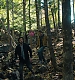 Filename=000386.jpg
Filesize=1529KiB
Dimensions=1920x960
Date added=Sep 02, 2025 000386.jpg