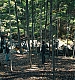 Filename=000430.jpg
Filesize=1706KiB
Dimensions=1920x960
Date added=Sep 02, 2025 000430.jpg
