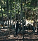 Filename=000438.jpg
Filesize=1621KiB
Dimensions=1920x960
Date added=Sep 02, 2025 000438.jpg